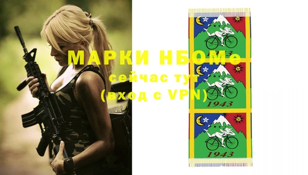 индика Осташков