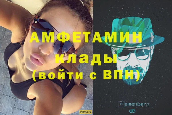 индика Осташков