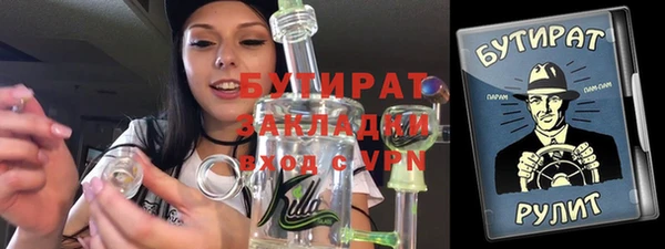 индика Осташков