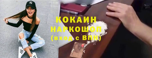 индика Осташков