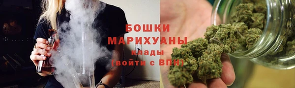 индика Осташков