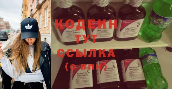 хмурый Грязовец