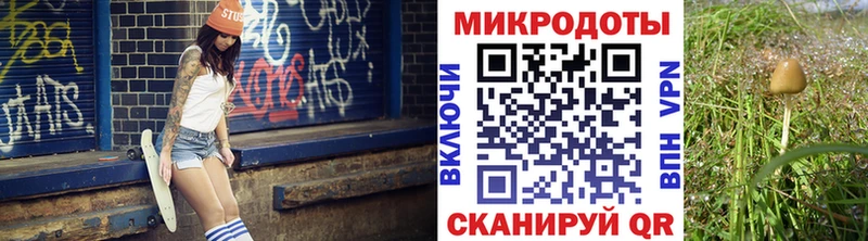 Псилоцибиновые грибы мицелий  MEGA ССЫЛКА  Казань  даркнет сайт 